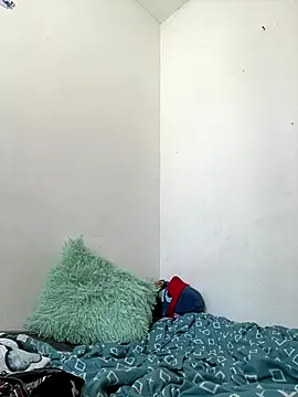 Snapshot of methme chatting on 1, 12, 2025 methme online show from 1, 12, 2025