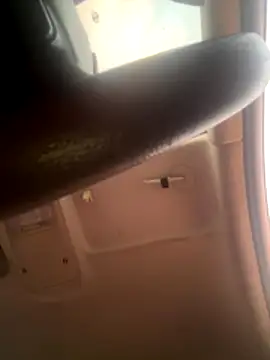 silverbay-456 online show from 4, 11, 2025