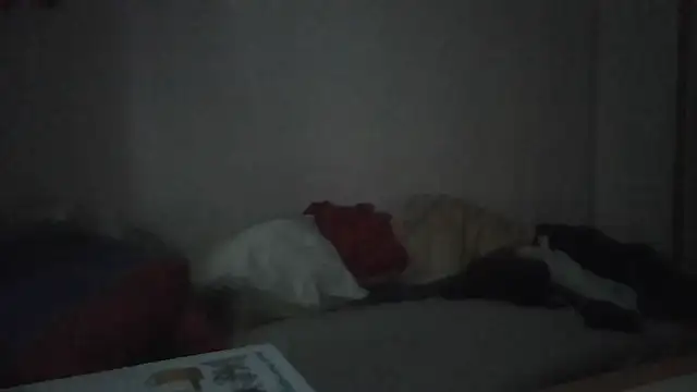 Snapshot of ARTANIS20 chatting on 11, 1, 2026 ARTANIS20 online show from 11, 1, 2026