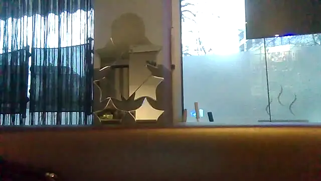 Snapshot of ARTANIS20 chatting on 1, 2, 2026 ARTANIS20 online show from 1, 2, 2026