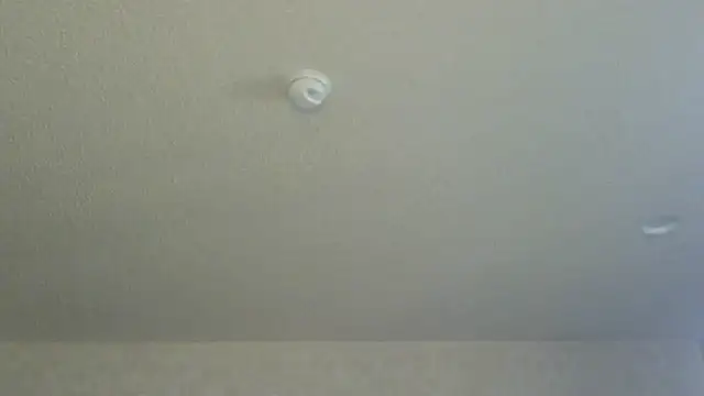 Snapshot of Flossee chatting on 11, 4, 2026 Flossee online show from 11, 4, 2026