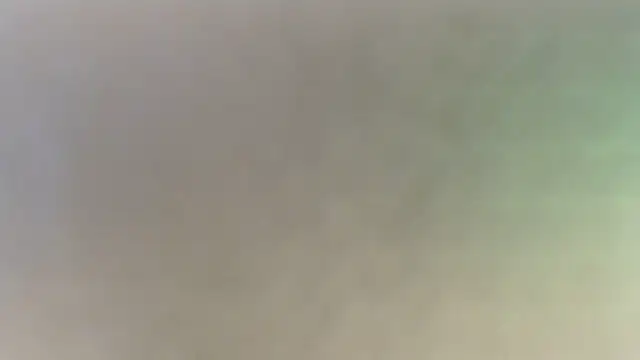 Snapshot of sacoa chatting on 17, 7, 2026 sacoa online show from 17, 7, 2026