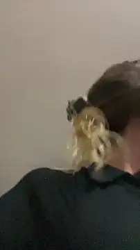 Snapshot of blond-96 chatting on 3, 4, 2026 blond-96 online show from 3, 4, 2026