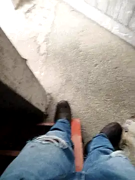 13elvergon online show from 1, 10, 2025