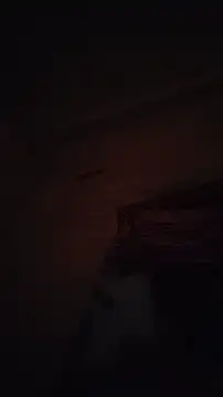 desimanddk online show from 7, 3, 2026