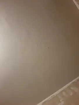 gazb90 online show from 14, 1, 2026