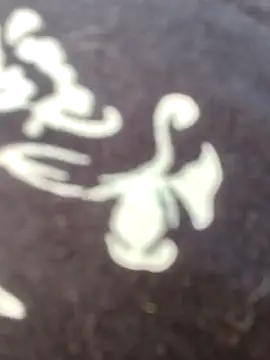 papukurty online show from 22, 2, 2026