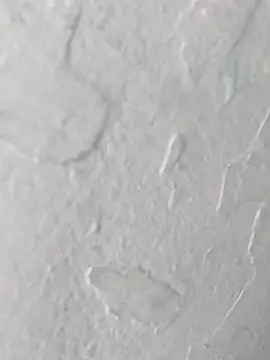 yaraa49 online show from 23, 10, 2025