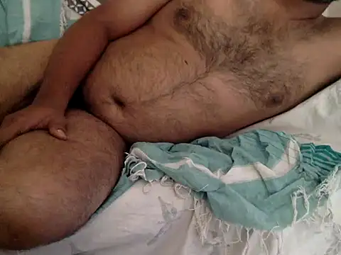 halopc online show from 7, 11, 2025