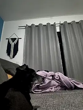 Snapshot of mikeara90 chatting on 22, 10, 2025 mikeara90 online show from 22, 10, 2025