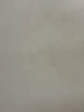 Cute-Sakhi online show from 15, 12, 2025