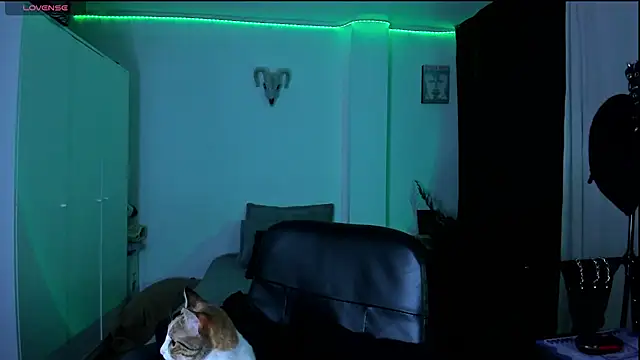 Snapshot of kattusauruss chatting on 22, 3, 2026 kattusauruss online show from 22, 3, 2026