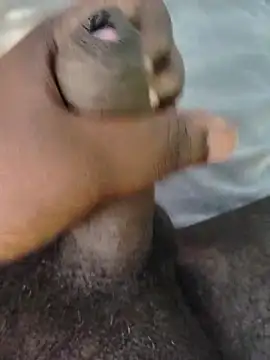 Snapshot of Saikishore00000 chatting on 9, 3, 2026 Saikishore00000 online show from 9, 3, 2026