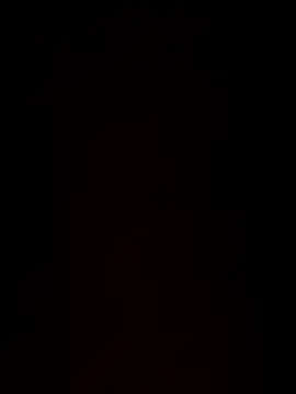 paigeycakes online show from 11, 10, 2025