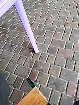 Snapshot of Odecca11 chatting on 23, 11, 2025 Odecca11 online show from 23, 11, 2025