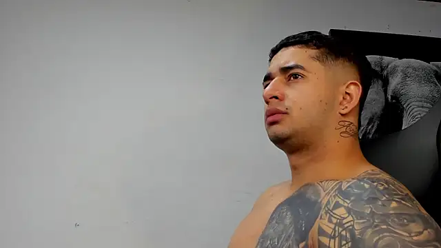 king falconer online show from 18, 11, 2025