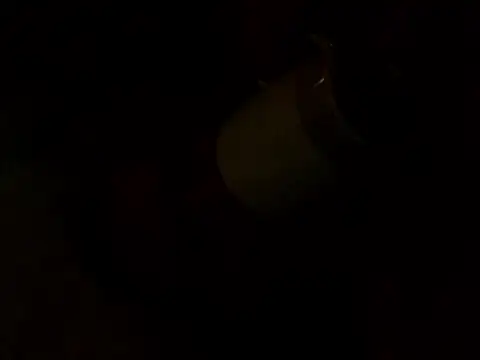 Snapshot of PointXXL chatting on 16, 12, 2025 PointXXL online show from 16, 12, 2025