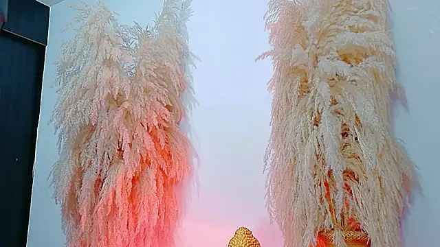 Snapshot of JulietaDavis chatting on 4, 2, 2026 JulietaDavis online show from 4, 2, 2026