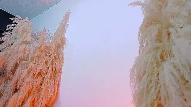 Snapshot of JulietaDavis chatting on 19, 2, 2026 JulietaDavis online show from 19, 2, 2026