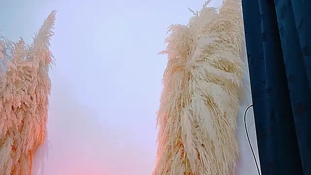 Snapshot of JulietaDavis chatting on 20, 2, 2026 JulietaDavis online show from 20, 2, 2026