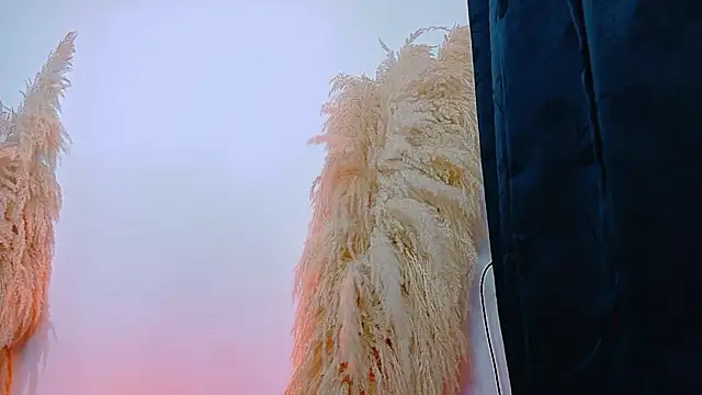 Snapshot of JulietaDavis chatting on 22, 2, 2026 JulietaDavis online show from 22, 2, 2026