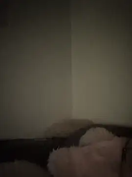 Snapshot of Bimalehung chatting on 16, 11, 2025 Bimalehung online show from 16, 11, 2025