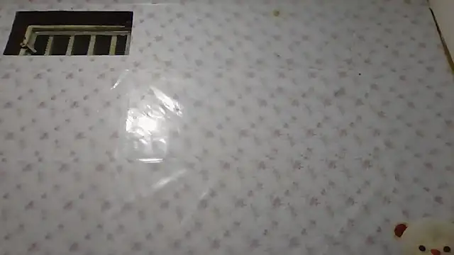 Roselingalvis13 online show from 14, 1, 2026