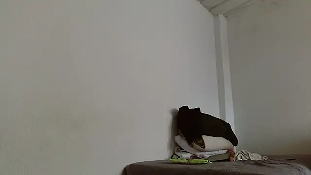 Snapshot of isabel_24_gil chatting on 13, 11, 2025 isabel 24 gil online show from 13, 11, 2025