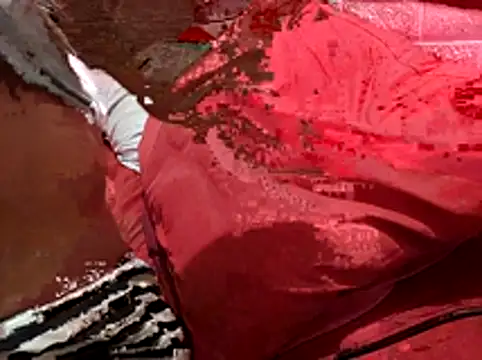 Snapshot of Kellye_hotTs chatting on 4, 2, 2026 Kellye hotTs online show from 4, 2, 2026