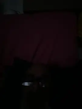 Snapshot of crisfootlicker chatting on 28, 7, 2026 crisfootlicker online show from 28, 7, 2026