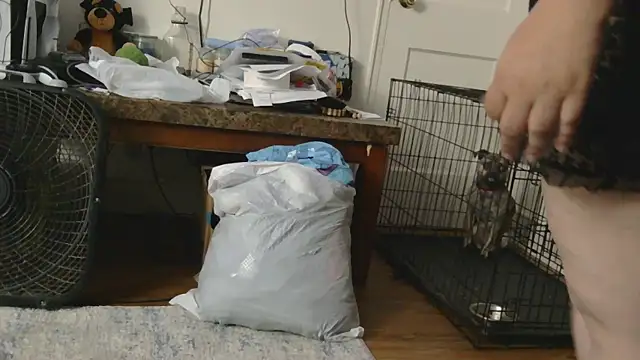 Snapshot of Babygrldes chatting on 24, 4, 2026 Babygrldes online show from 24, 4, 2026