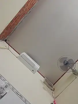 ducpham6565 online show from 4, 11, 2025