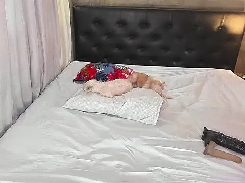 hotbabymaria online show from 14, 11, 2025