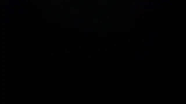 bossking017 online show from 19, 2, 2026