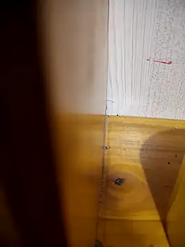 Snapshot of daisylouis chatting on 21, 4, 2026 daisylouis online show from 21, 4, 2026