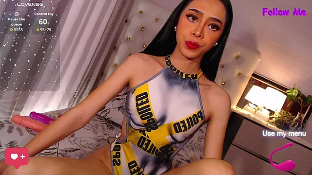 Snapshot of megumishemale_x chatting on 21, 2, 2026 megumishemale x online show from 21, 2, 2026