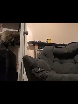 Snapshot of Cnutt310 chatting on 14, 12, 2025 Cnutt310 online show from 14, 12, 2025