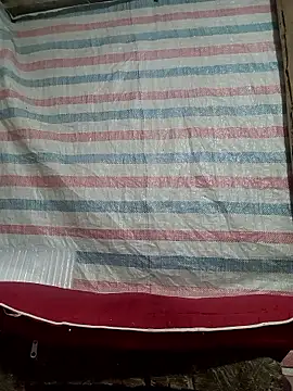 Many lize online show from 9, 11, 2025