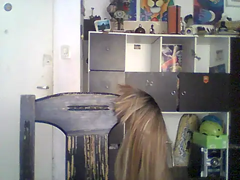 Bebita-zmp online show from 21, 5, 2026