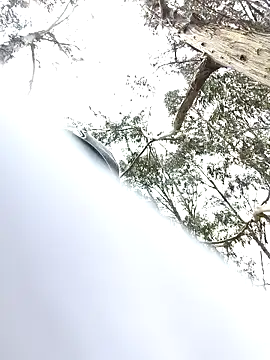 Thomasjons  online show from 14, 4, 2026