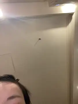 Snapshot of MengMeng0515 chatting on 11, 3, 2026 MengMeng0515 online show from 11, 3, 2026