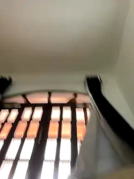 virtualgirlbr online show from 4, 12, 2025