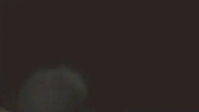 Snapshot of pietje1991 chatting on 16, 5, 2026 pietje1991 online show from 16, 5, 2026