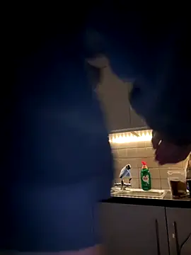 Michel huge online show from 27, 11, 2025