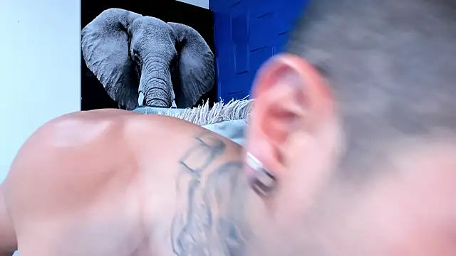 andres-clark92 online show from 4, 11, 2025