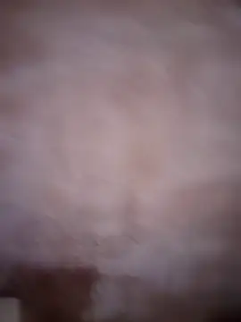 Snapshot of ddllrr224 chatting on 16, 12, 2025 ddllrr224 online show from 16, 12, 2025