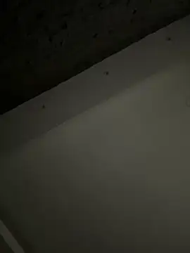 ALANNFERRER online show from 4, 10, 2025