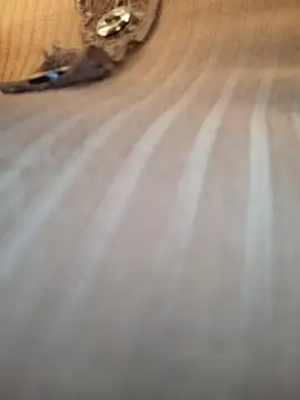 Sandiq99six online show from 7, 11, 2025