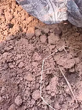 Snapshot of Hot_raaani chatting on 7, 11, 2025 Hot raaani online show from 7, 11, 2025