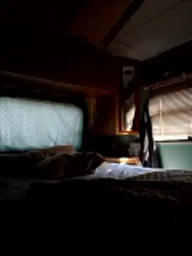 Snapshot of ShawnandDani7074 chatting on 20, 12, 2025 ShawnandDani7074 online show from 20, 12, 2025